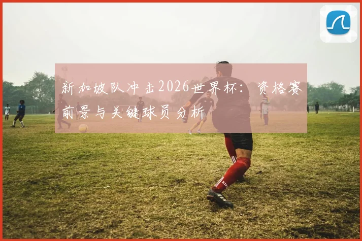 新加坡队冲击2026世界杯:资格赛前景与关键球员分析