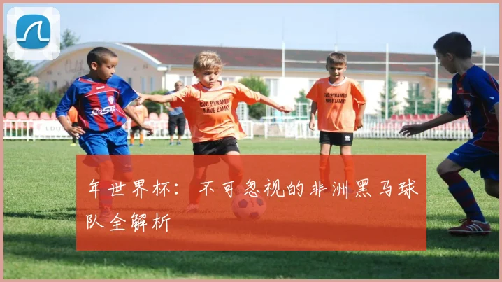 年世界杯：不可忽视的非洲黑马球队全解析