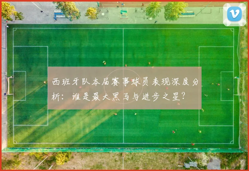 西班牙队本届赛事球员表现深度分析：谁是最大黑马与进步之星？